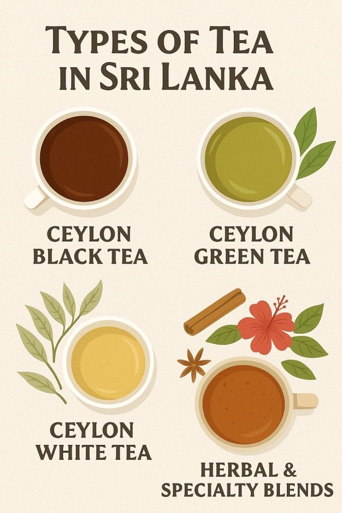 ceylon black tea, ceylon green tea, ceylon white tea, herbal and specialty blends are some of the types of tea in sri lanka