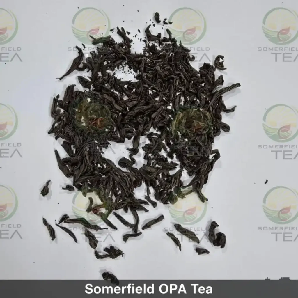 somerfield OPA tea available in catering packs for restaurants and cafes in colombo and for tea export