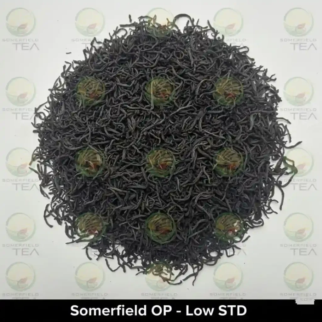 somerfield OP low STD available in catering packs for restaurants and cafes in colombo and for tea export
