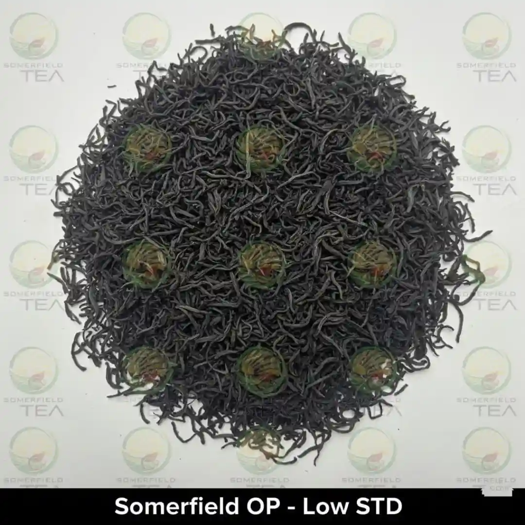 somerfield OP low STD available in catering packs for restaurants and cafes in colombo and for tea export