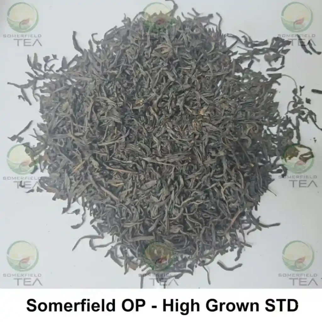 somerfield OP high grown STD available in catering packs for restaurants and cafes in colombo and for tea export