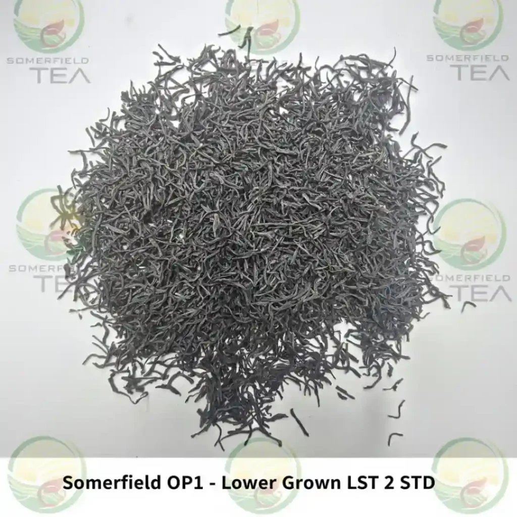 somerfield OP1 lower grown LST 2 STD available in catering packs for restaurants and cafes in colombo and for tea export