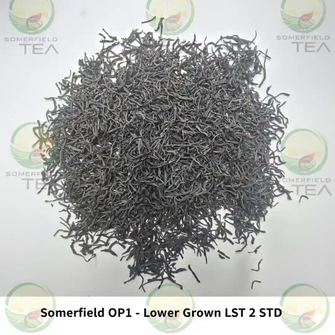 somerfield OP1 lower grown LST 2 STD available in catering packs for restaurants and cafes in colombo and for tea export