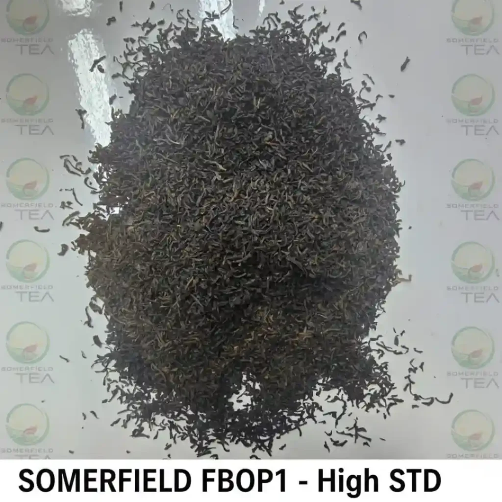 somerfield FBOP1 high STD available in catering packs for restaurants and cafes in colombo and for tea export