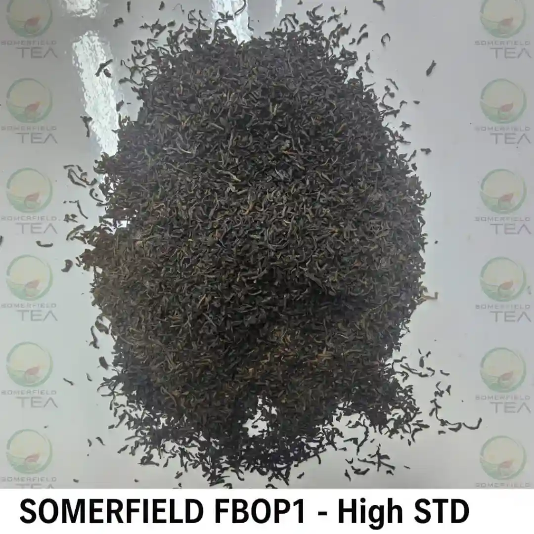 somerfield FBOP1 high STD available in catering packs for restaurants and cafes in colombo and for tea export