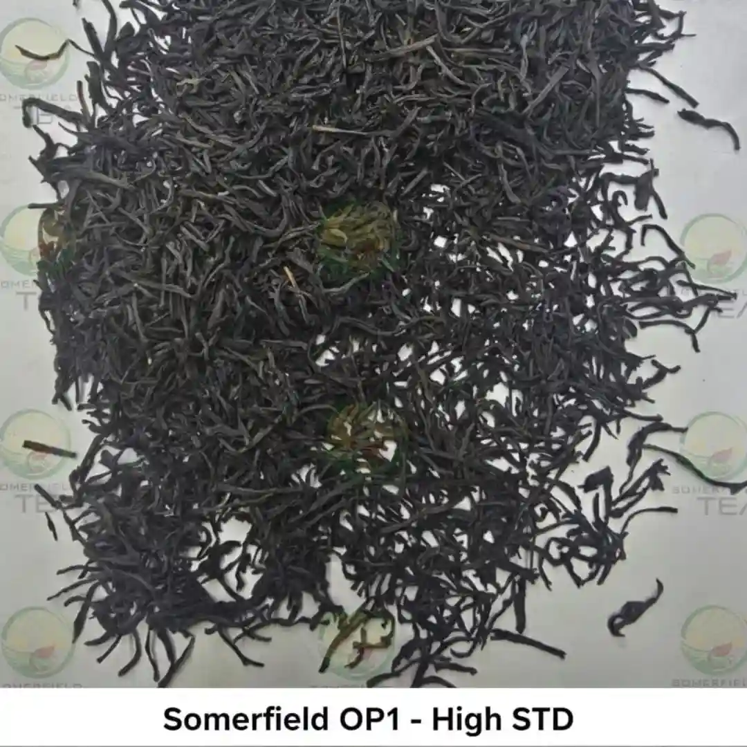 somerfield OP1 high STD available in catering packs for restaurants and cafes in colombo and for tea export