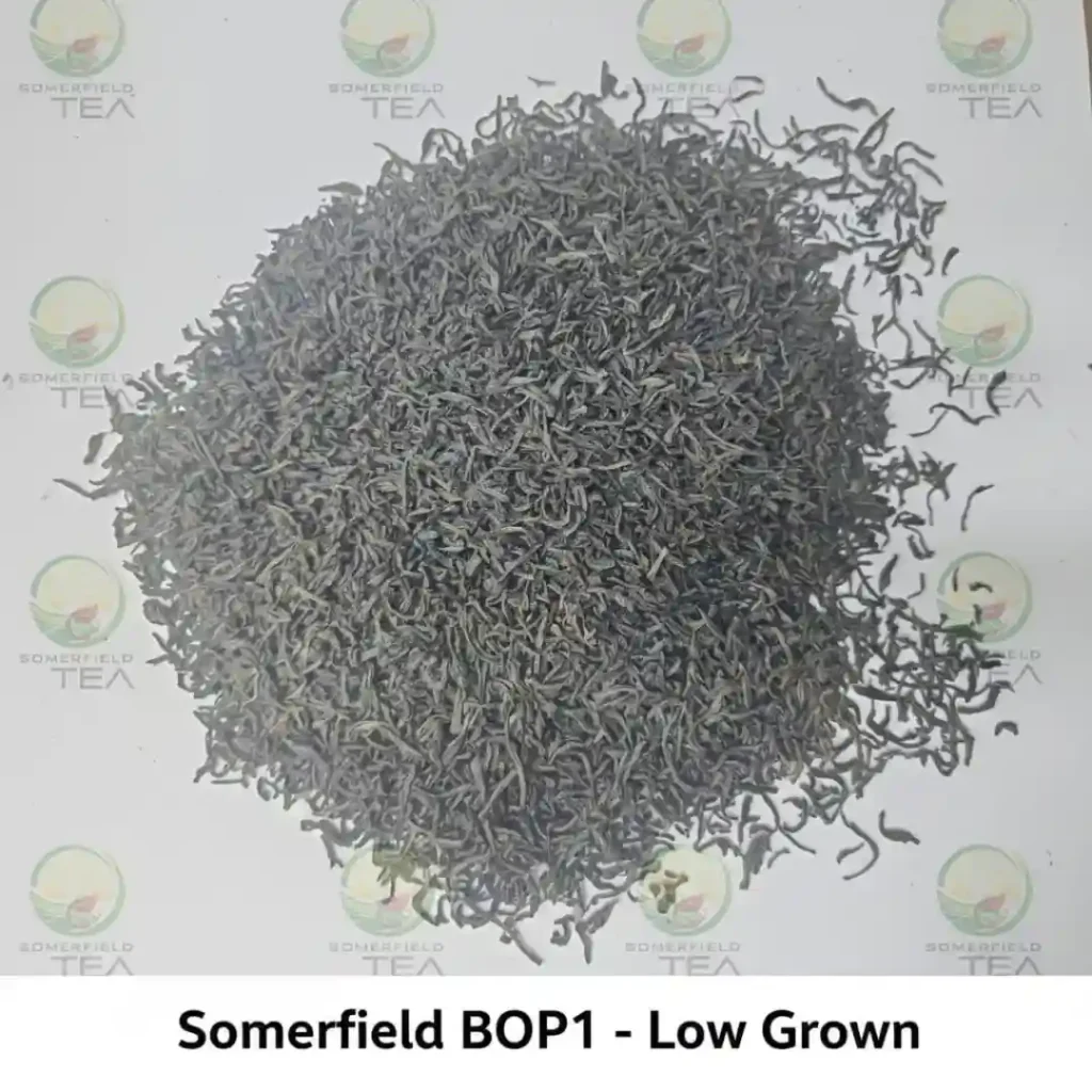 somerfield BOP1 low grown available in catering packs for restaurants and cafes in colombo and for tea export