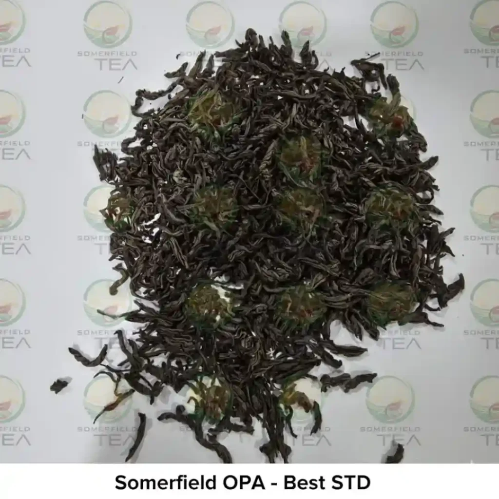 somerfield OPA best STD available in catering packs for restaurants and cafes in colombo and for tea export