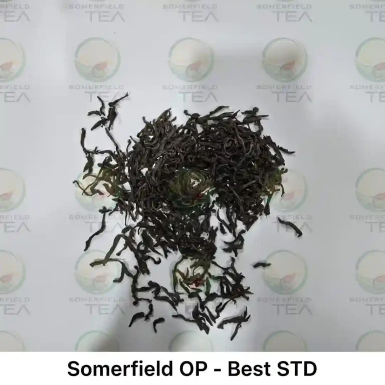 somerfield OP best STD available in catering packs for restaurants and cafes in colombo and for tea export