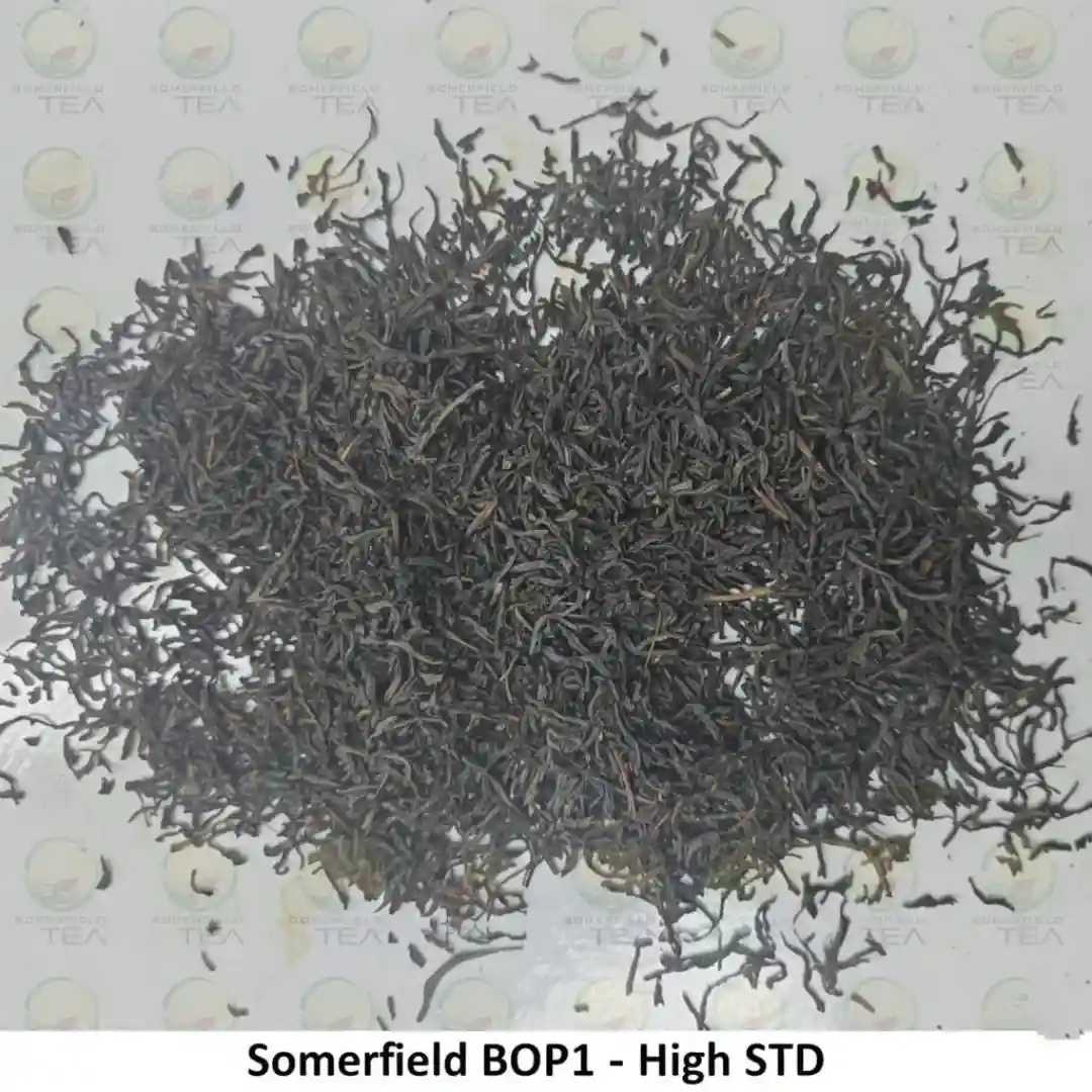 somerfield BOP1 high STD available in catering packs for restaurants and cafes in colombo and for tea export