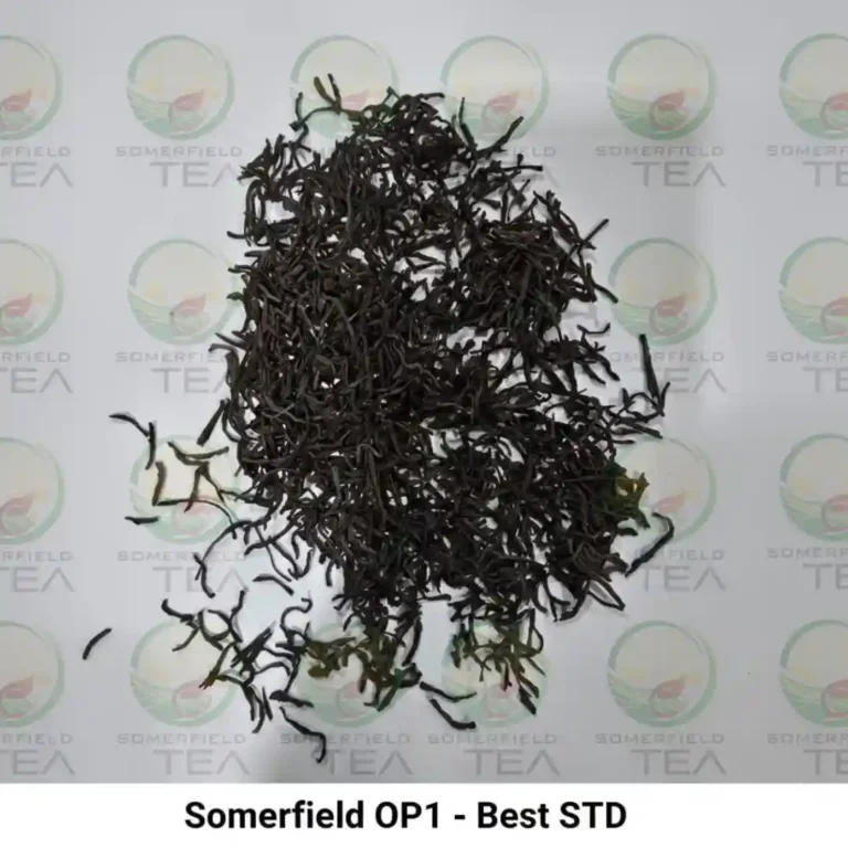 somerfield OP1 best STD available in catering packs for restaurants and cafes in colombo and for tea export