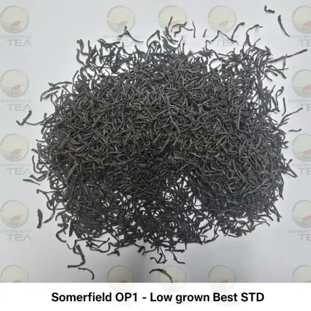 somerfield OP1 low grown best STD available in catering packs for restaurants and cafes in colombo and for tea export