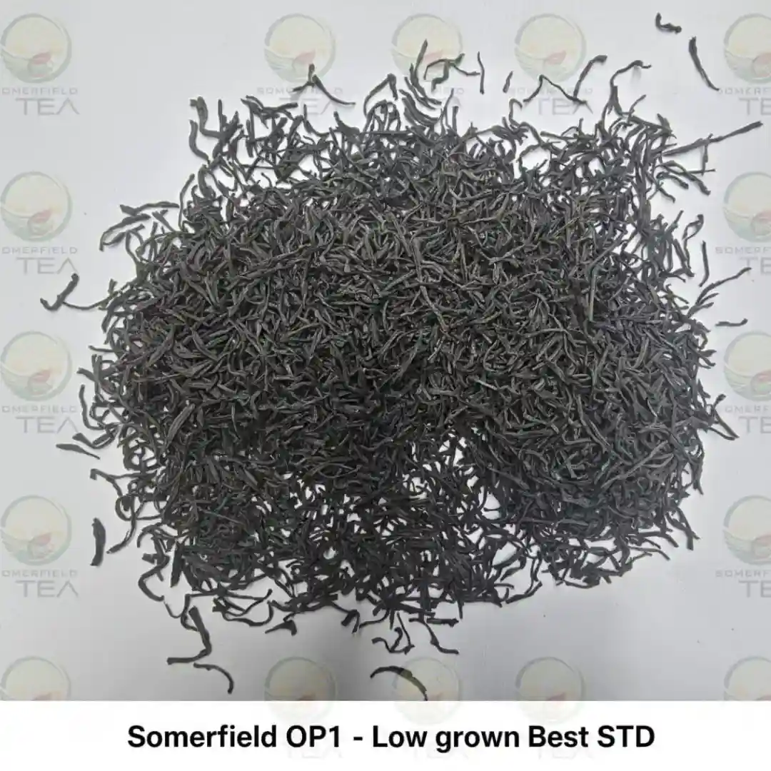 somerfield OP1 low grown best STD available in catering packs for restaurants and cafes in colombo and for tea export